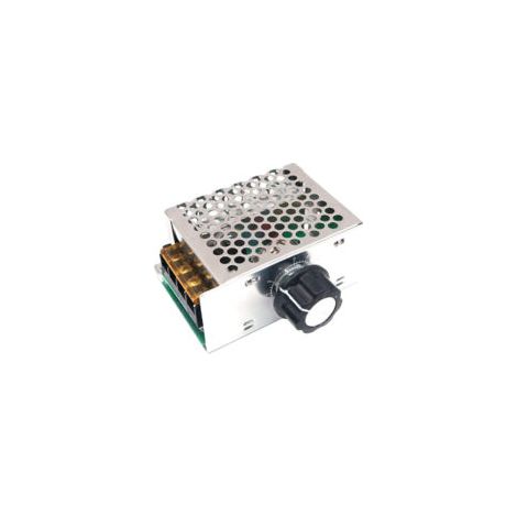 Variateur pour Moteur 220V, Régulateur de Tension AC 4000W, Variateur de Tension 220V, Variateur de Vitesse pour Moteur, Régulateur de Vitesse pour Moteur électrique Variateur,