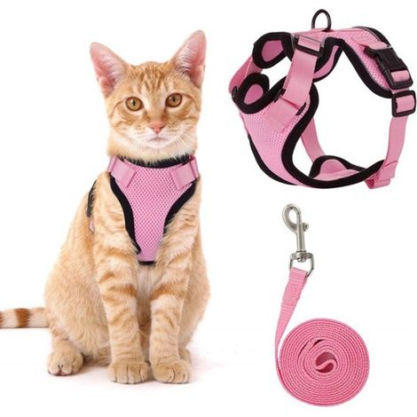 Harnais pour chat avec laisse - Harnais pour chat - Laisse pour chat - Ligne pour chat - Réglable - Réfléchissant - Taille XS - avec bandes réfléchissantes - pour l'éducation et les promenades en exté (1/5)