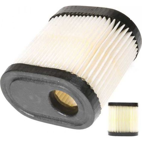 Filtre à air pour Tecumseh 36905 (1/5)