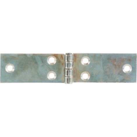 BL CERNIERA PERNO FISSO LUNGA 99X25 MM DA 2 PZ