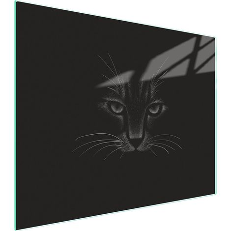 Schneidebrett aus Glas 52x40 CAT (1/5)