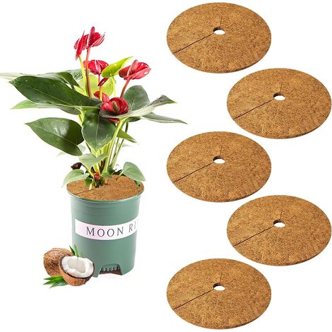 Pack of 5 Coconut Protection Mats, Diameter 20 cm, Winter Outdoor Plant Protection for Plants and Pots All Year Round Plants Winter (1/5)