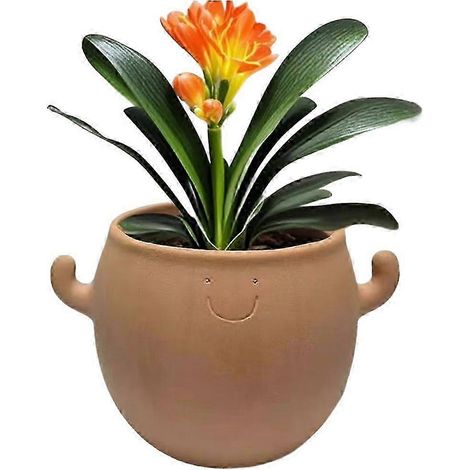 Pot de fleurs en céramique décoratif Bon visage souriant pour balcon (1/5)