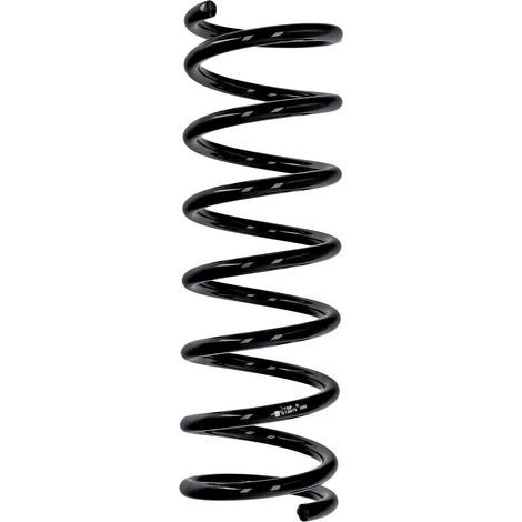 Ressort de suspension Eibach ERL arrière Ford R10979 (1/2)
