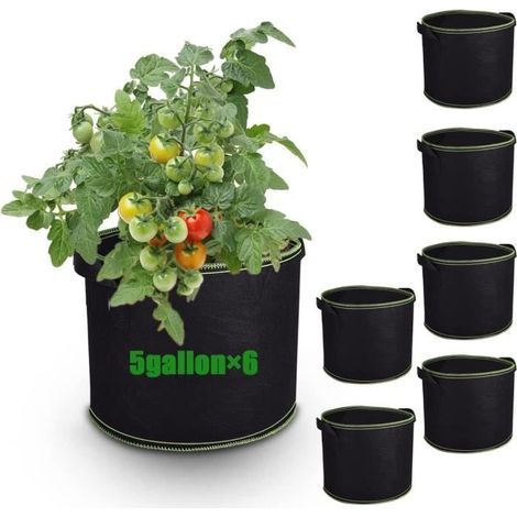 Grow Bags - Non-Woven - 19 Liters - Pack of 6 - Breathable - Reusable