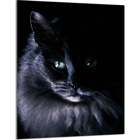 TAGLIERE IN VETRO 40x52 Cat (1/5)