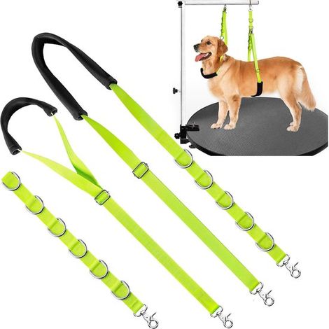 Collier de toilettage pour chien avec anneau et clip, laisse réglable pour table de toilettage, bain, tonte et lavage, pour petits et moyens chiens, vert (1/5)