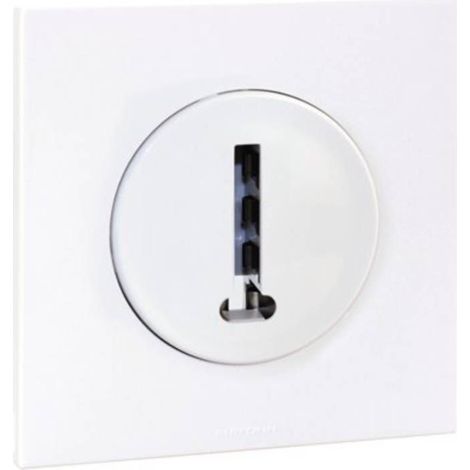 SQUARE Prise téléphone + plaque + griffes BLC EUR'OHM 91105001