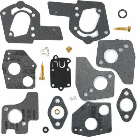 Kit réparation carburateur pour moteur Briggs & Stratton 494624, 495606 (1/2)