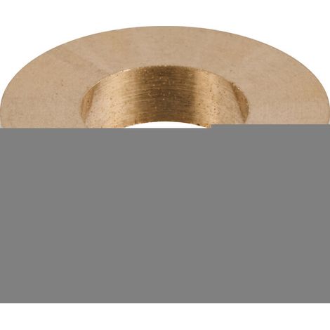 Paumelle-Ring D19 S/6