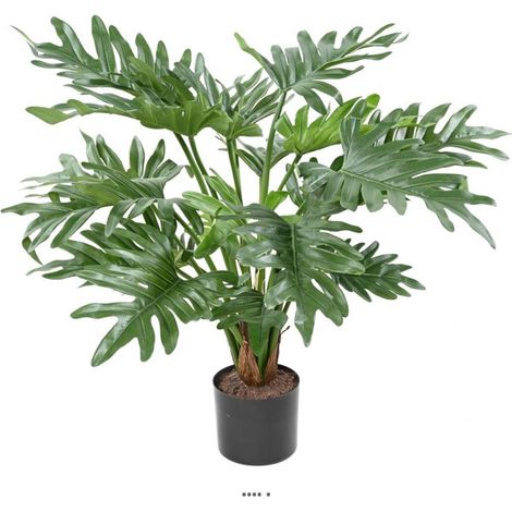 Philodendron Selloum artificiel en pot L 50 cm H 50 cm Vert - dimhaut: H 50 cm - couleur: Vert (1/3)