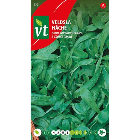 Mache à Grosse Graine - Ca. 4 gr (Livraison Gratuite) (1/2)