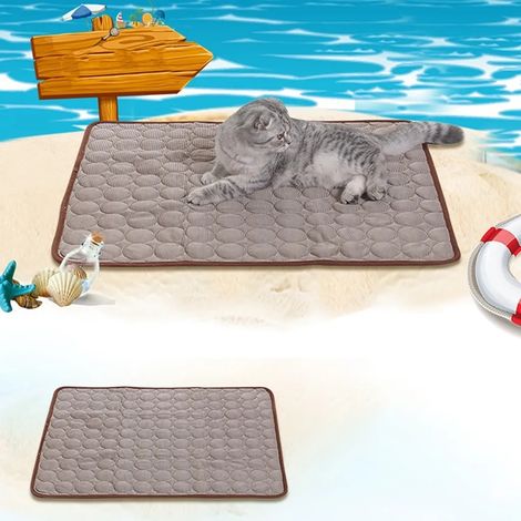 Tapis rafraîchissant lavable, antidérapant et doux pour chien, idéal pour l'été (Marron café, XS - 40 x 30 cm) (1/5)