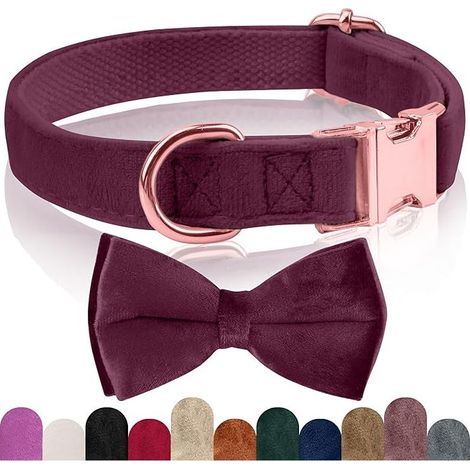 Dog Collar with Detachable Bow Tie, Adjustable Dog Collar for Small, Medium, and Large Dogs, for Weddings, Birthdays, and Parties (1/5)