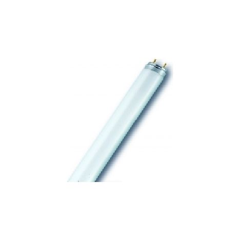 Lampada neon fluorescente F58 T8 33W 4300K GEL00029570 per illuminazione