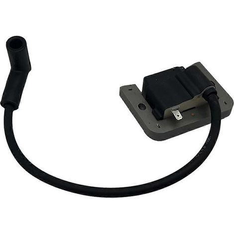 3258406 pour module de bobine d'allumage KT Engines 32-584-06-S Noir (1/5)