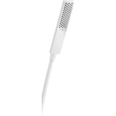 hansgrohe Pulsify E Douchette à main 100, 1 type de jet EcoSmart, (1/5)