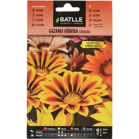 Semillas Batlle Gazania Ibrida Varie (1/4)