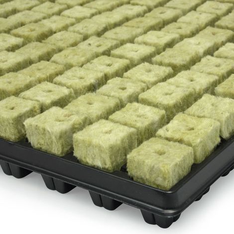 Plateau de 150 bouchons de laine de roche GRODAN (1/3)