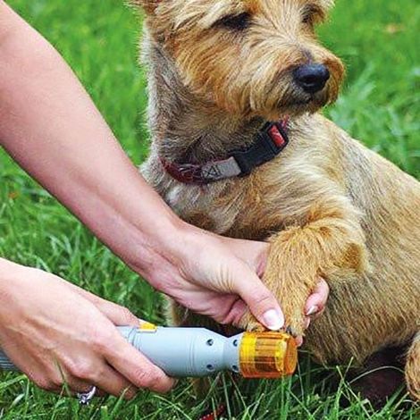Filiyano-Coupe-ongles électrique pour chiens, chats et autres animaux de compagnie (1/4)