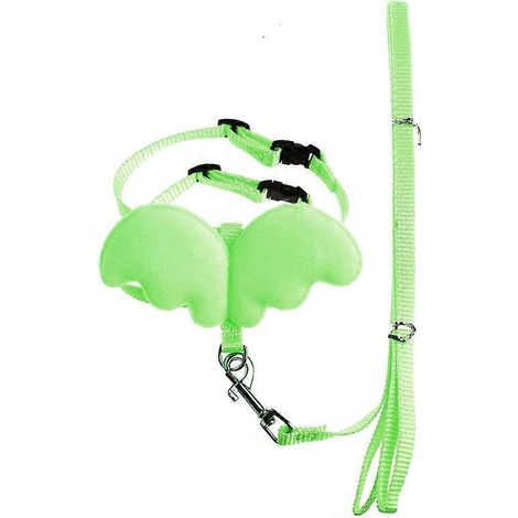 Chat pour chat harnais laisse ensemble anti-évasion réglable, harnais chat léger doux promenade voyage, harnais Petsafe taille M vert. (1/4)