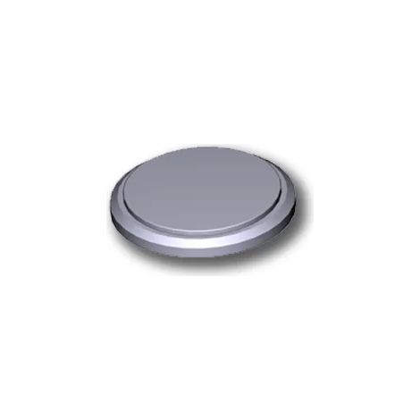 came pièce détachée batterie cr2450 119rir443 (1/3)