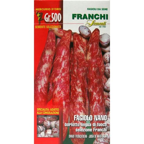 SEMI FAGIOLO NANO LINGUA DI FUOCO FRANCHI GR.500