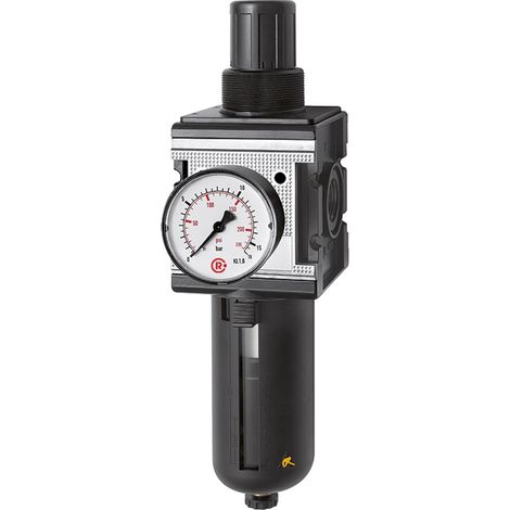 Riegler Filterregler »multifix«, mit PC-Behälter, Schutzkorb, BG 4, G 1 (1/4)