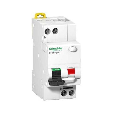 Schneider Electric A9N21204 - Disjoncteur différentiel ProDis DT40 Vigi K 1P+N 25A courbe C 30mA type AC