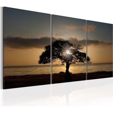 Quadro - Extraordinary Nature - 120x60 (1/4)