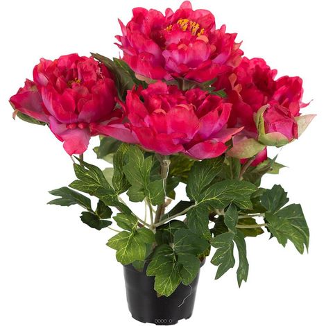 Pivoine artificielle en pot H 35 cm 4 fleurs et 2 boutons Rose fushia - couleur: Rose fushia 730