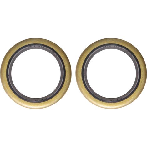 2x joint SPI 25x35x4,5mm référence origine 294 606 compatible avec Briggs & Stratton 7cv 8cv (1/2)