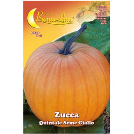 10 x SEMI ORTO ZUCCA QUINTALE