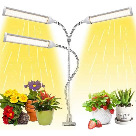 Lampe horticole LED à spectre complet, type maïs, pour la croissance des plantes succulentes (douille + adaptateur). (1/5)