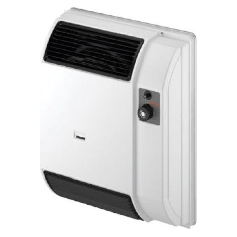 ROBUR - TS2000 RADIATORE INDIVIDUALE A METANO O GPL F11216430