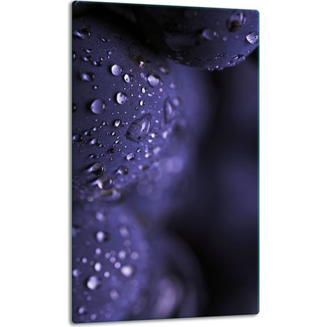 GLASPLATTE, TISCHPLATTE 30x52 FRUCHT (1/5)
