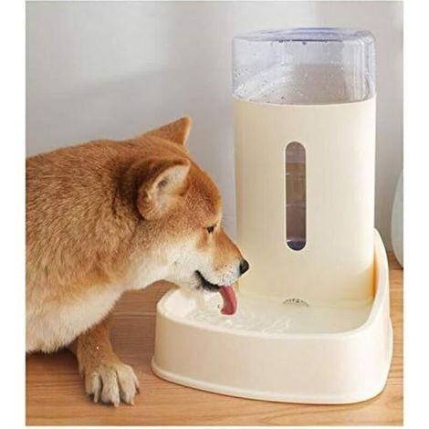 Distributore automatico di acqua e cibo per gatti. Fontana automatica per cani e gatti. (1/4)