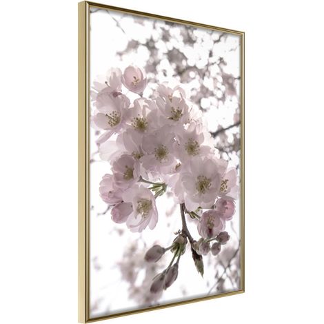 Affiche Murale Encadrée "Spring Visit" 21 x 30 cm Or