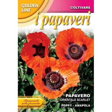 SEMI PAPAVERO ORIENTALE SCARLET