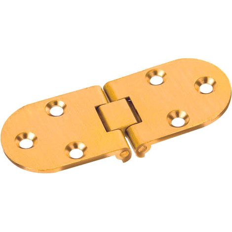 CERNIERA A BISCOTTO  con fermo mm. 30x80 24.00 pz