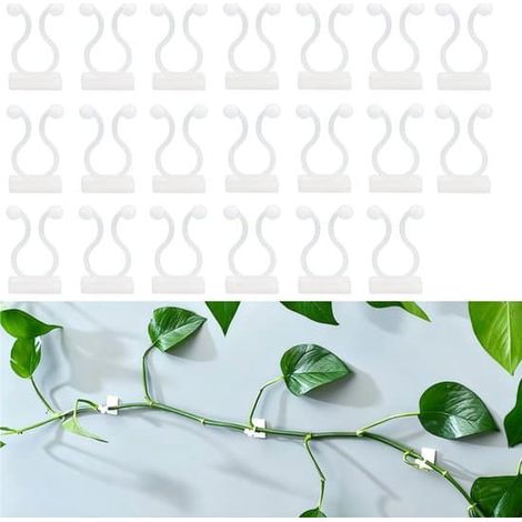 Lot de 20 clips pour plantes grimpantes - Gestion des câbles - Support pour plantes - Crochets auto-adhésifs - Support pour légumes - Tuteurs muraux - Blanc - 20 x 14 mm (1/5)