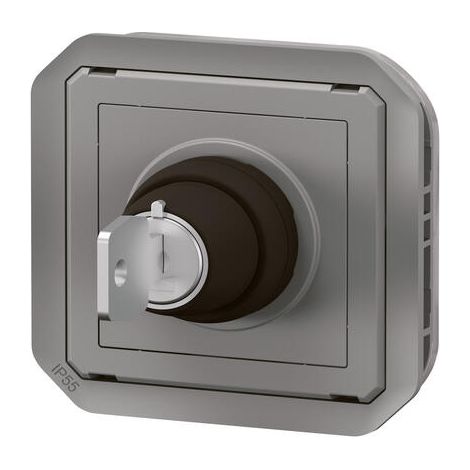 Legrand – Interrupteur à clé Ronis 2 positions – Composable – Gris – Plexo – Pour espaces confinés – Technologie de verrouillage sécurisé