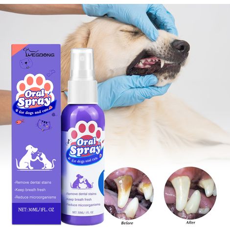 Zahnreinigungsspray für Katzen und Hunde zur Entfernung von Verfärbungen und für frischen Atem – 30 ml -- BIEMMEDUE (1/5)