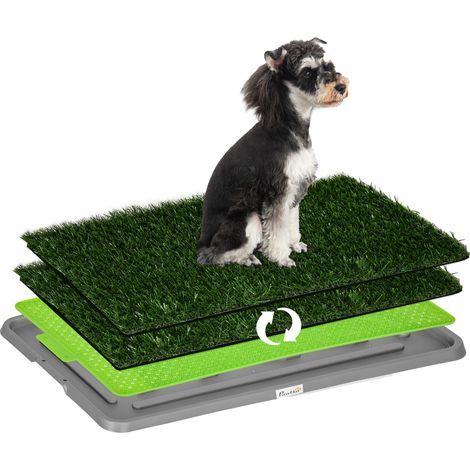 Toilette pour chien litière avec tapis en gazon artificiel bac pour l'apprentissage de la propreté, 67 x 41 cm (1/5)