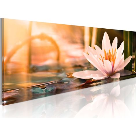 Quadro - Beautiful Lotus - 150x50 (1/4)