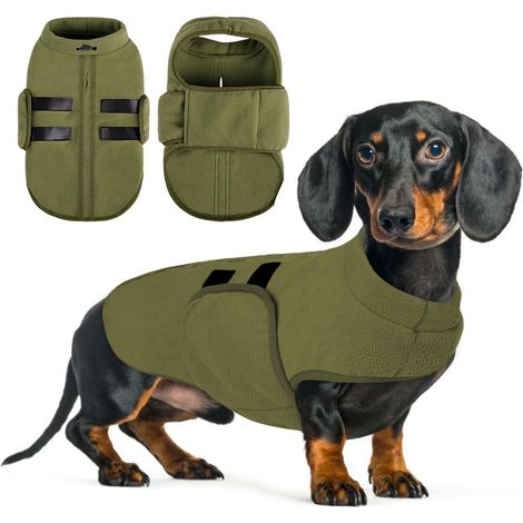 Manteau polaire pour chien Veste chaude d'hiver réglable pour petit moyen grand chien Chien de chasse Teckel Vert olive (1/5)