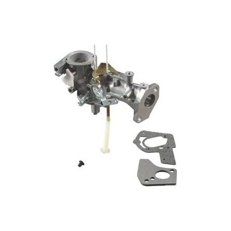 Carburateur BRIGGS ET STRATTON 495459