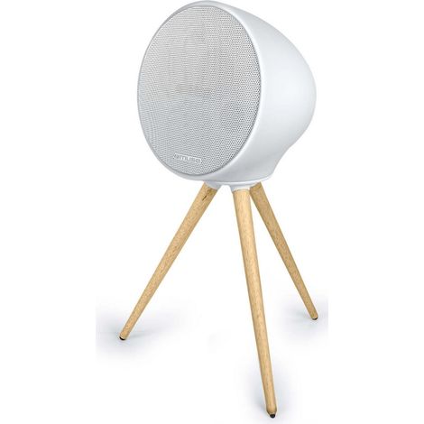 Altoparlante Bluetooth su Treppiede - Luce d'atmosfera multicolore - 100 W - IPX4 - Aux In - Muse
