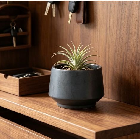 Maceta de cerámica de Ø 22 cm, negro mate, hecha a mano, porosa, resistente a las heladas, para uso interior y exterior. (1/5)