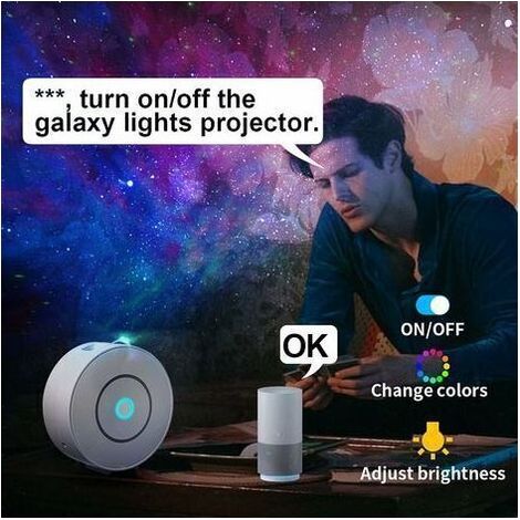 Proiettore di cielo stellato a LED, proiettore di cielo stellato intelligente, luce notturna galassia, dimmerabile/controllo vocale/connessione Wi-Fi/timer, decorazione per camera da letto, regalo, Na (1/4)